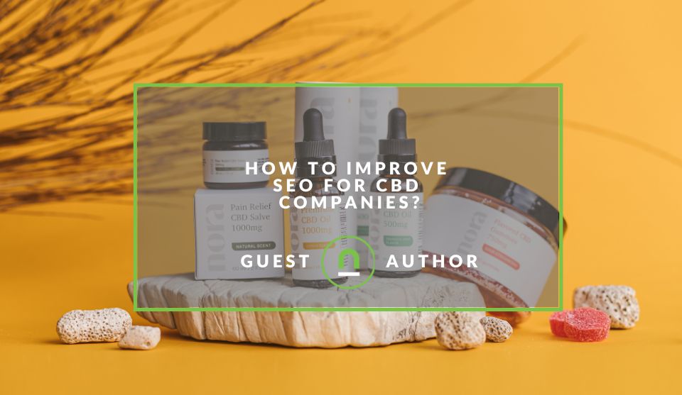 SEO Tips For CBD companies