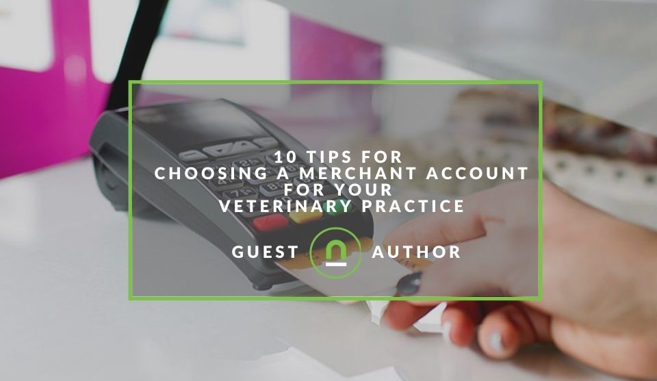 tips choosing payment options for veterinary practice