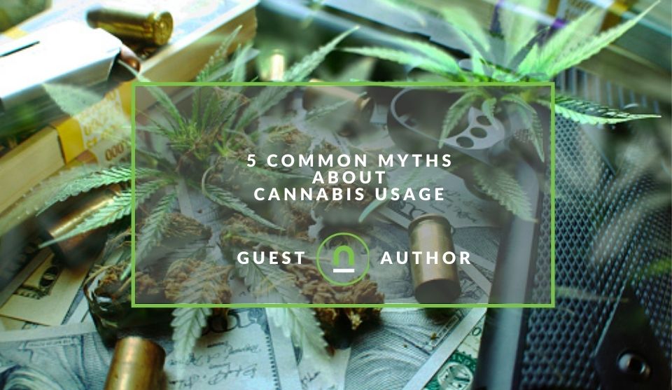 common myths of weed