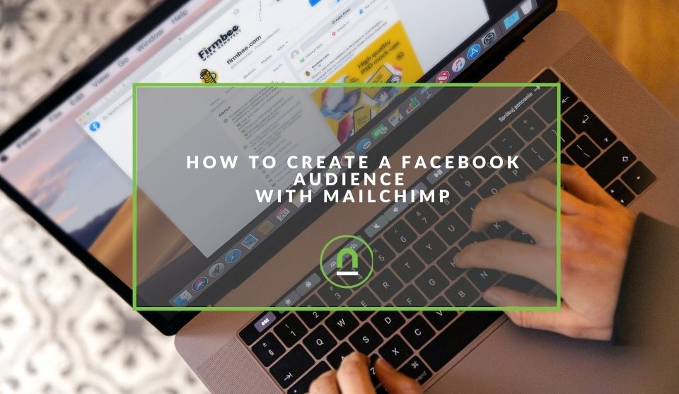 Mailchimp audiences injected into Facebook