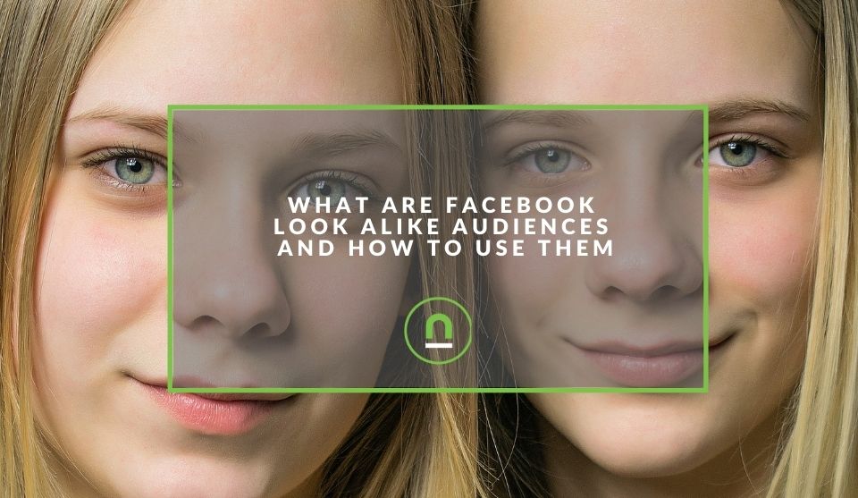 Facebook look alike audience explained