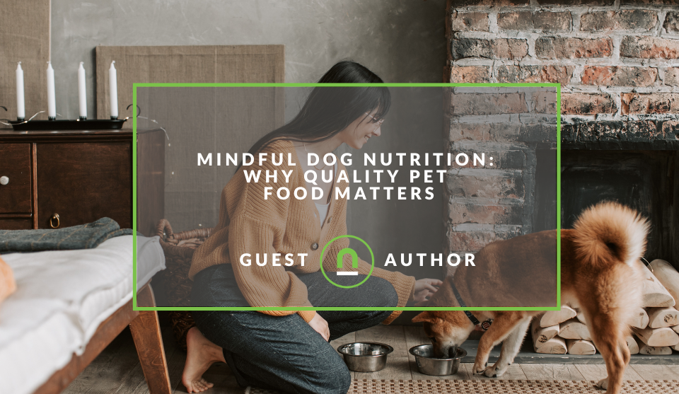 Why Quality Dog Food Matters