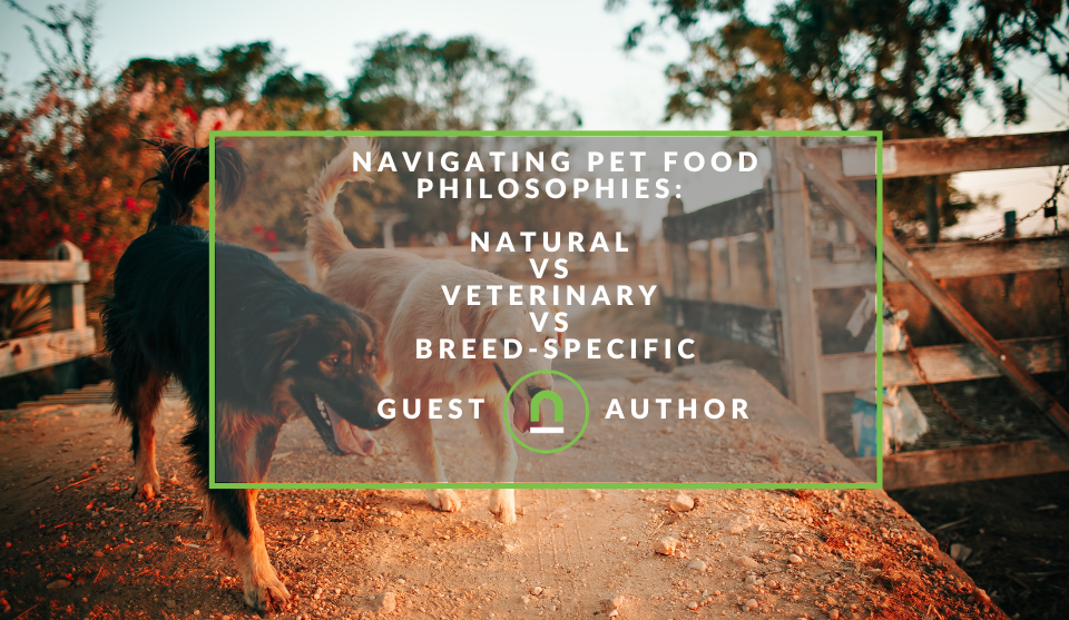Pet Nutrion Considerations