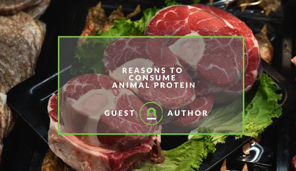 Why eat meat