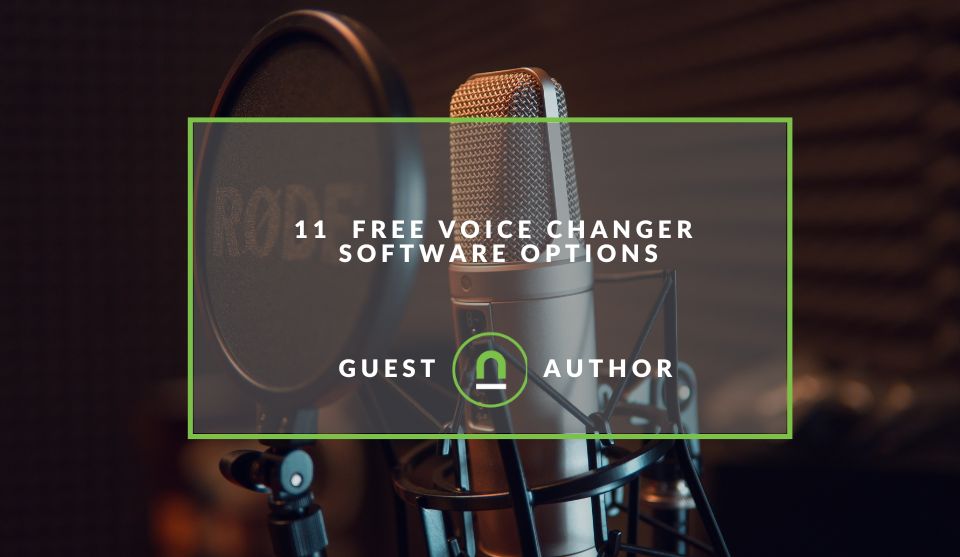 Voice changer software options