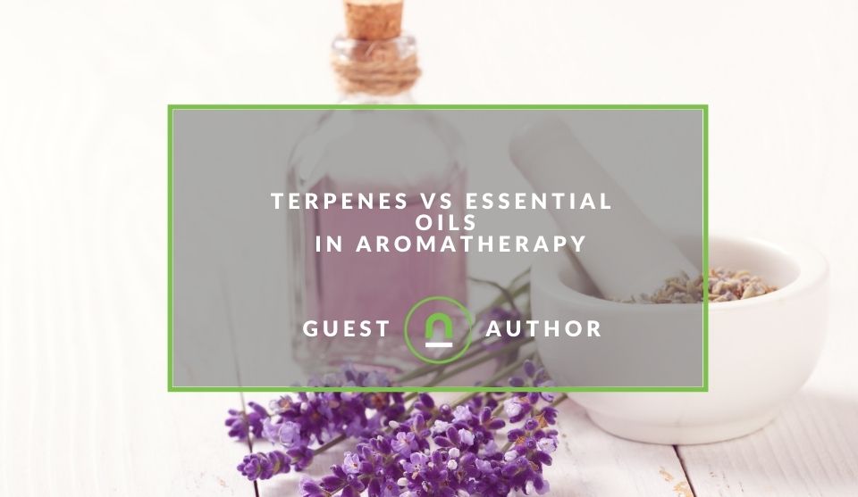 A guide to Terpenes use in Aromatherapy