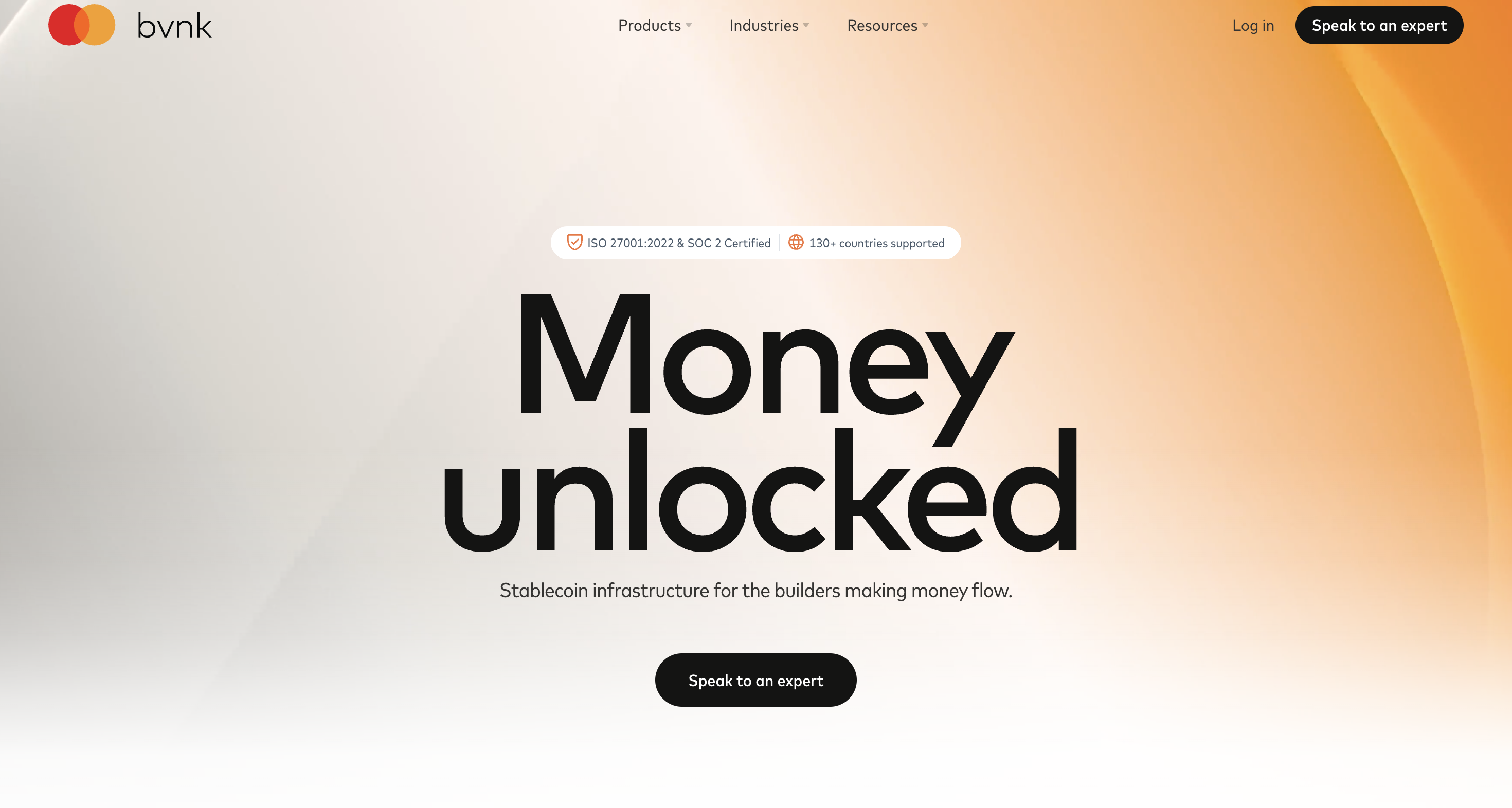 BVNK Homepage