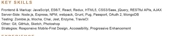 An example of a developer resume