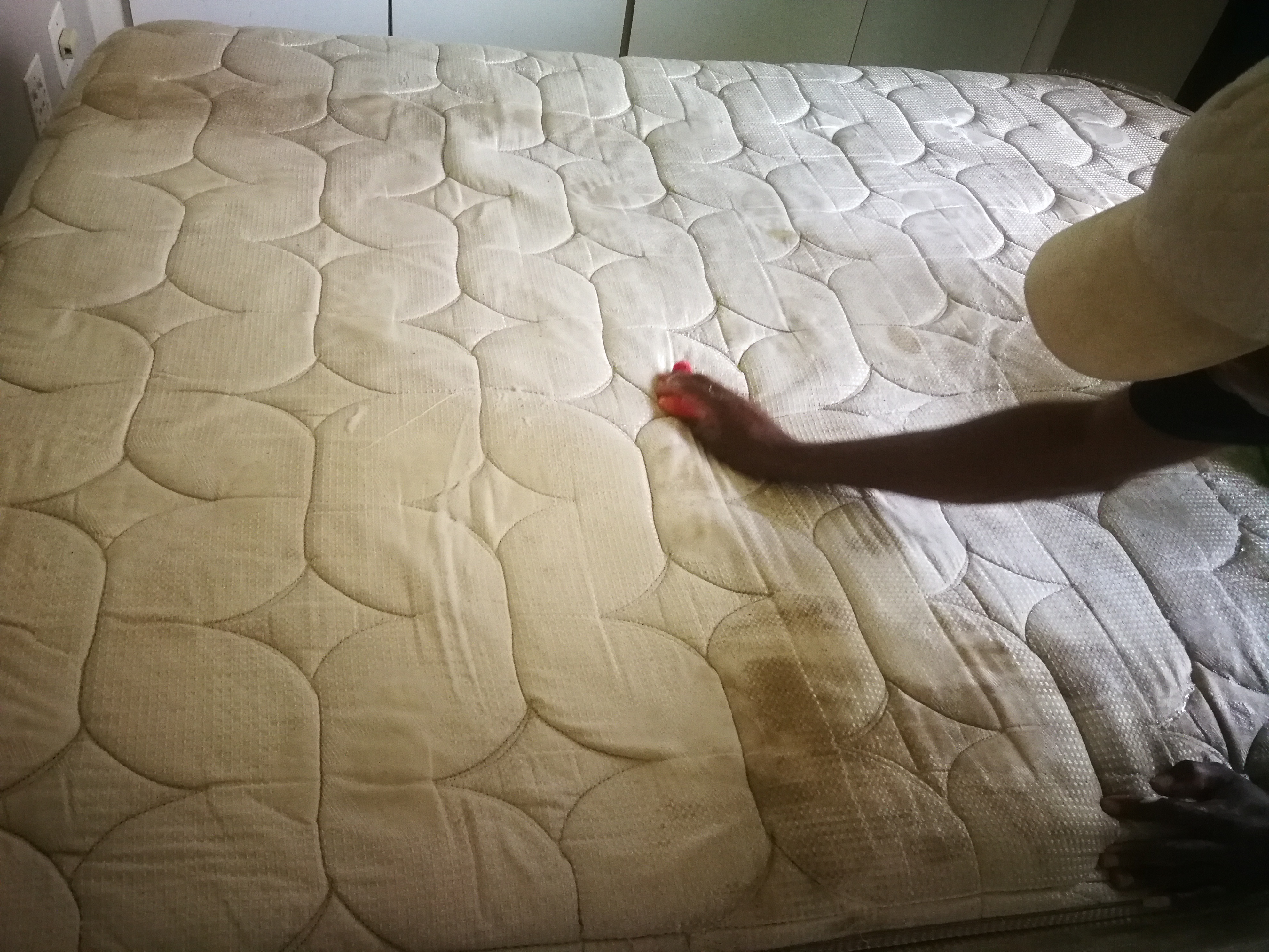 Deep mattress cleaning in tbe process 