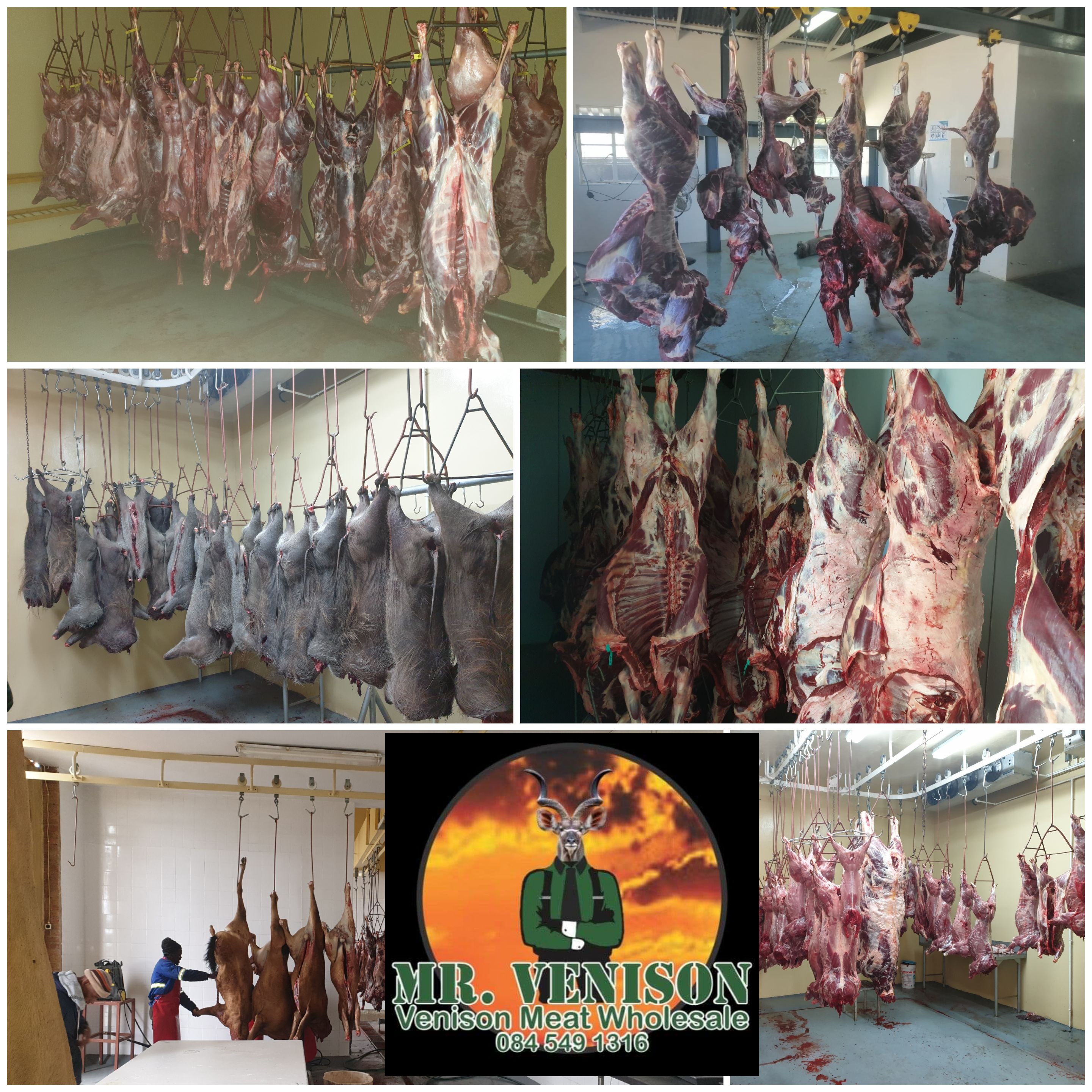 Mr. Venison