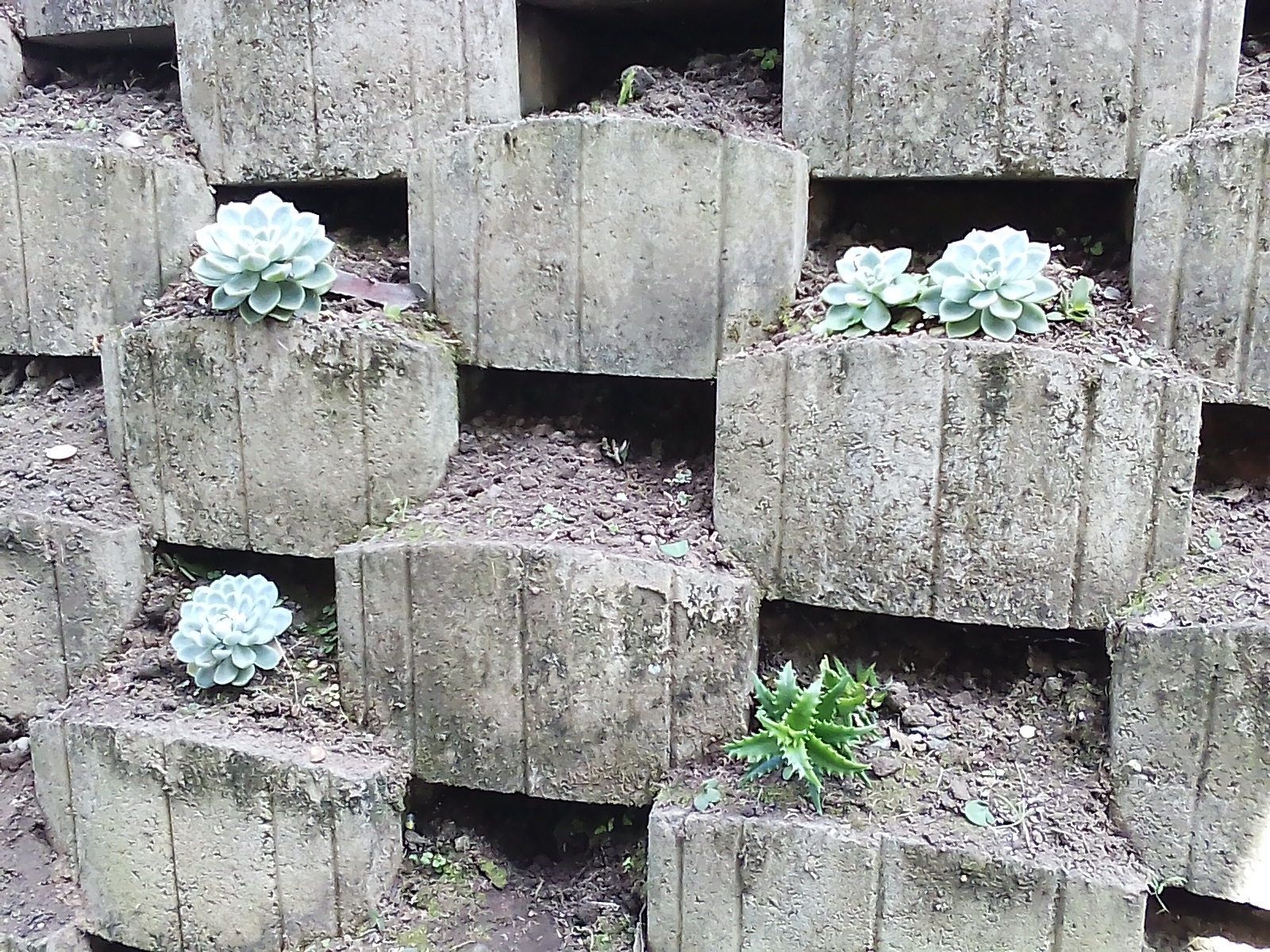Landscape Alterations