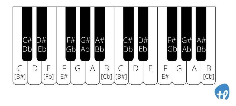 Sorry i can't take a picture right now but you'll indeed find beats if you contact me