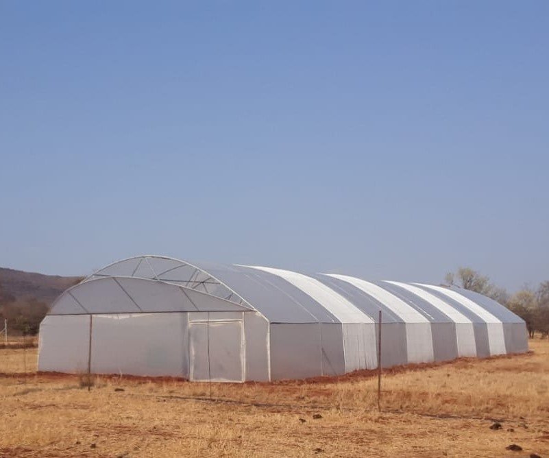 Greenhouse Tunnel Gauteng