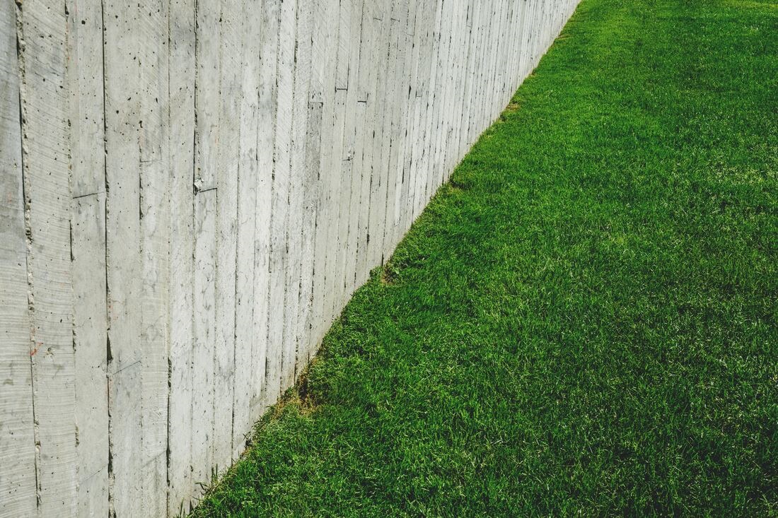 Our lawns