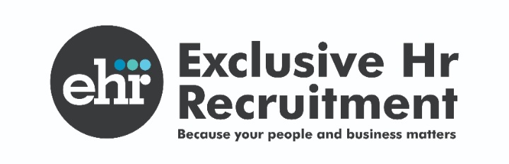 From implementing new business strategies to ultra-efficient work processes, Exclusive HR Recruitment is ready to tackle any challenge and put you on the path to success. Since 2020 we’ve helped our clients by delivering services that transform the way they do business.