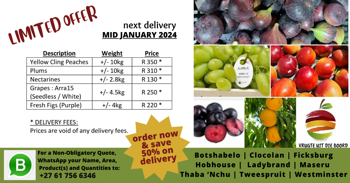 Fruit Available Mid January 2024
