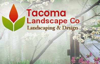 Landscaping in Washington state