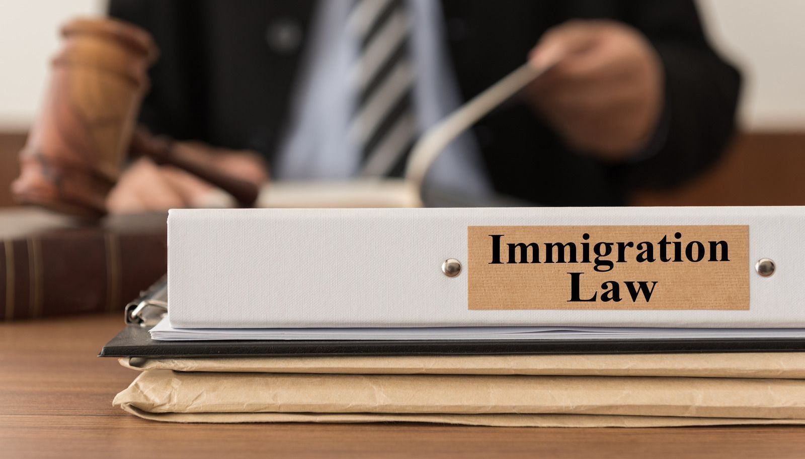 Our immigration lawyers