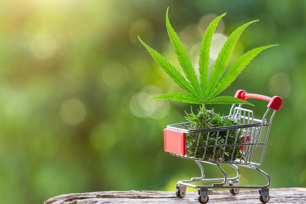 Cannabis clinic Sydney 