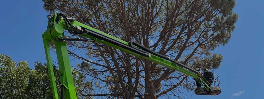 Our tree trimming services are performed by expert professionals trained to handle every job, no matter how big or small.