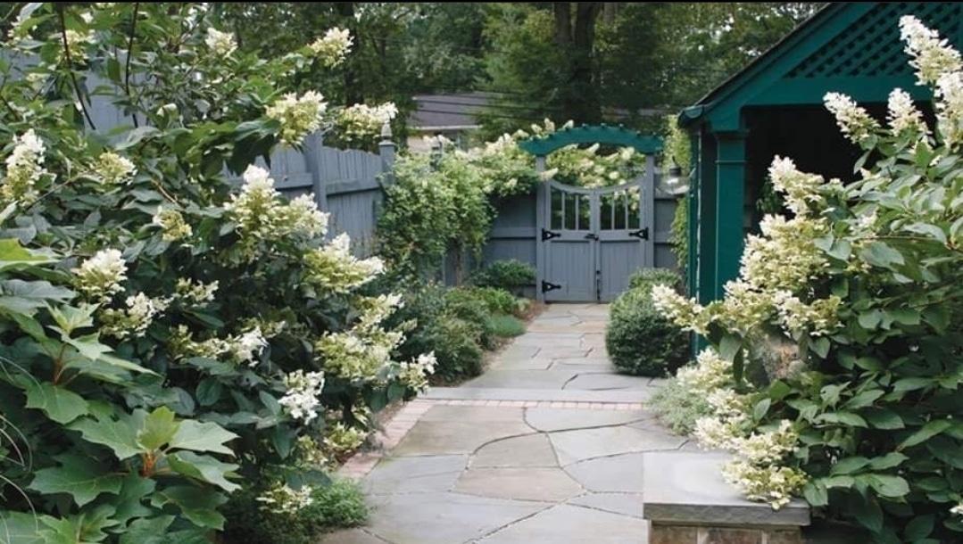 Landscape Design Build 