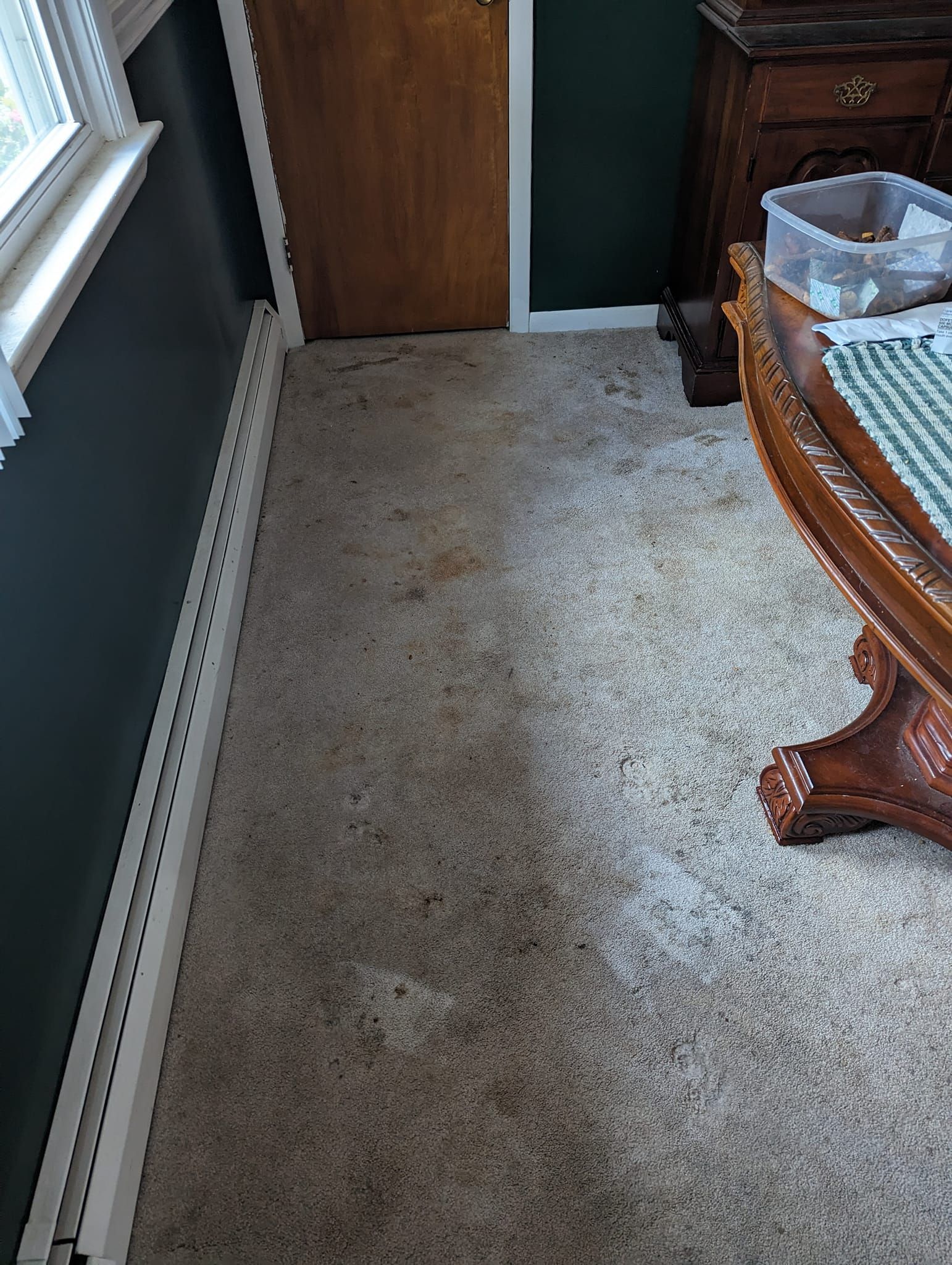 Cleaning carpets