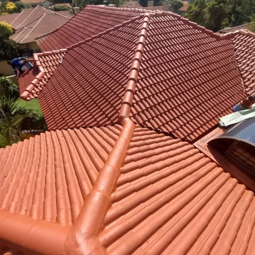 Roof repair and painting