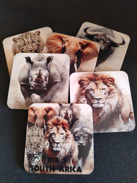 Big 5 Coasters