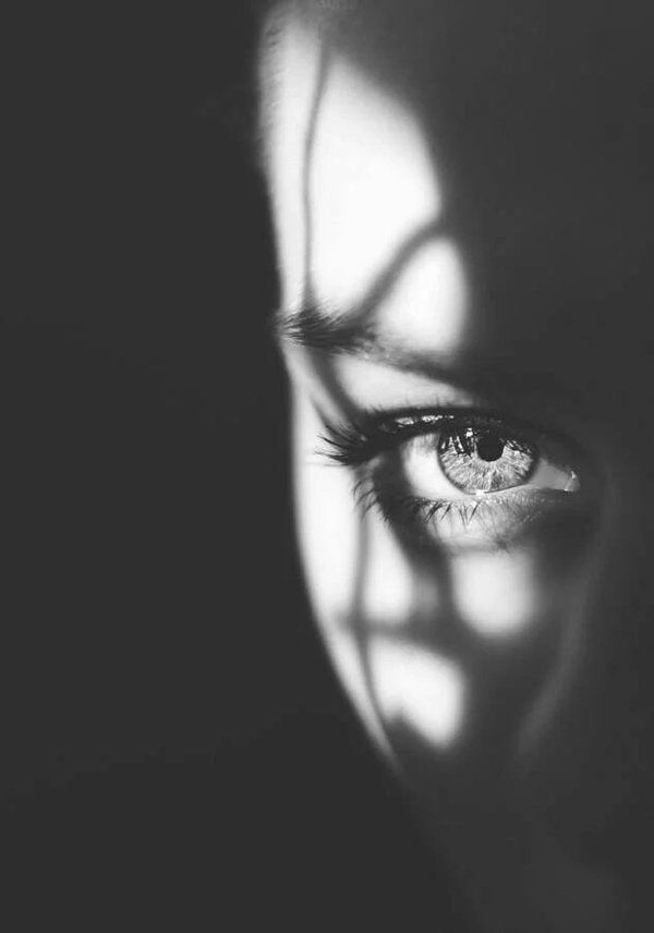 Surveillance Services