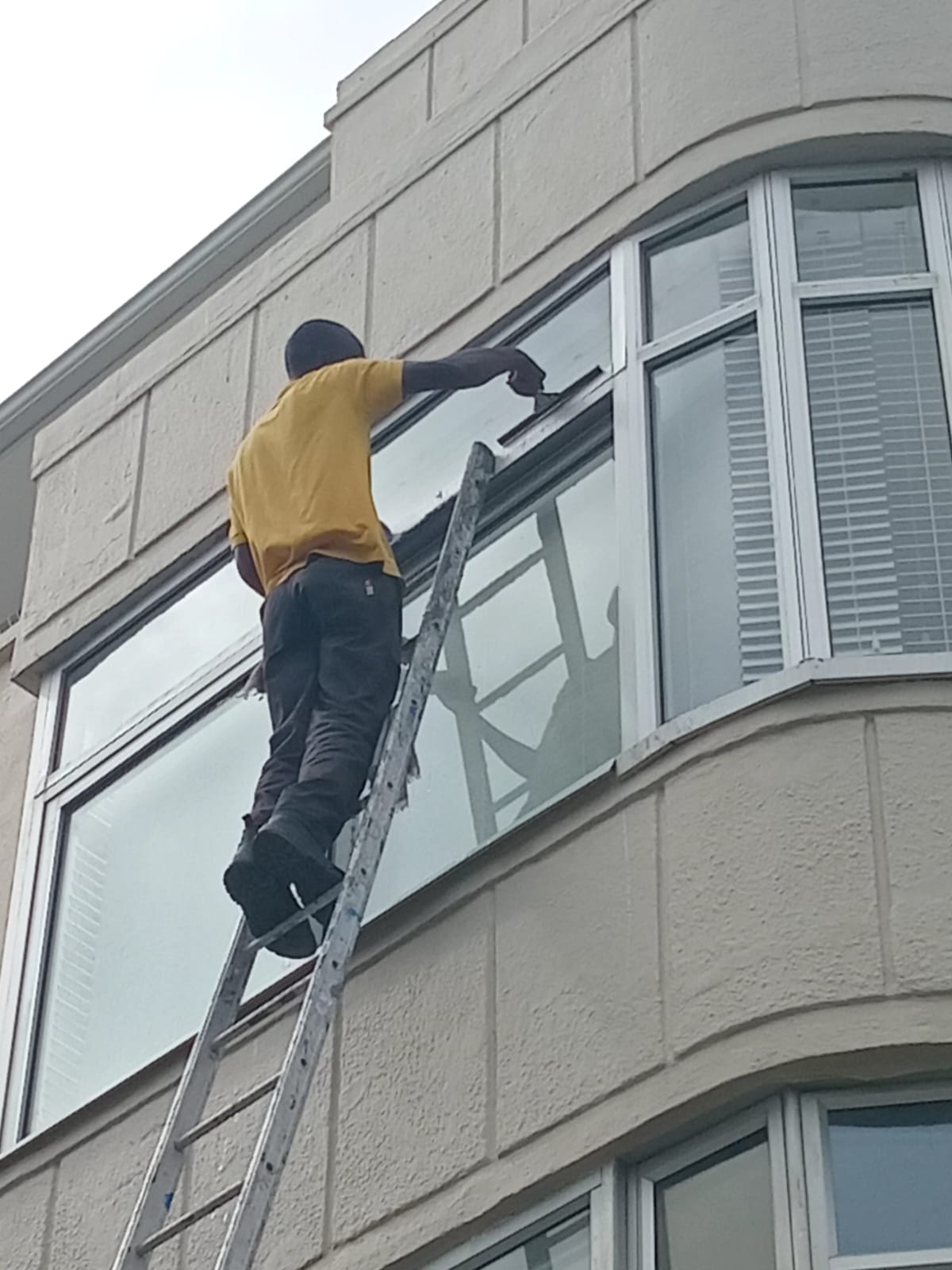 Window cleaning 