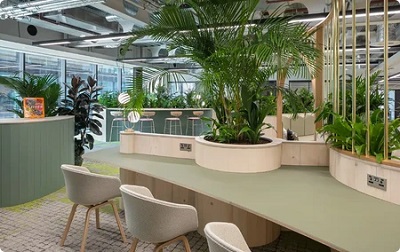 Pasley Commercial Interiors transforms business spaces with branded, functional commercial interior design, furniture solutions, and strategic planning for efficient, modern work environments.
