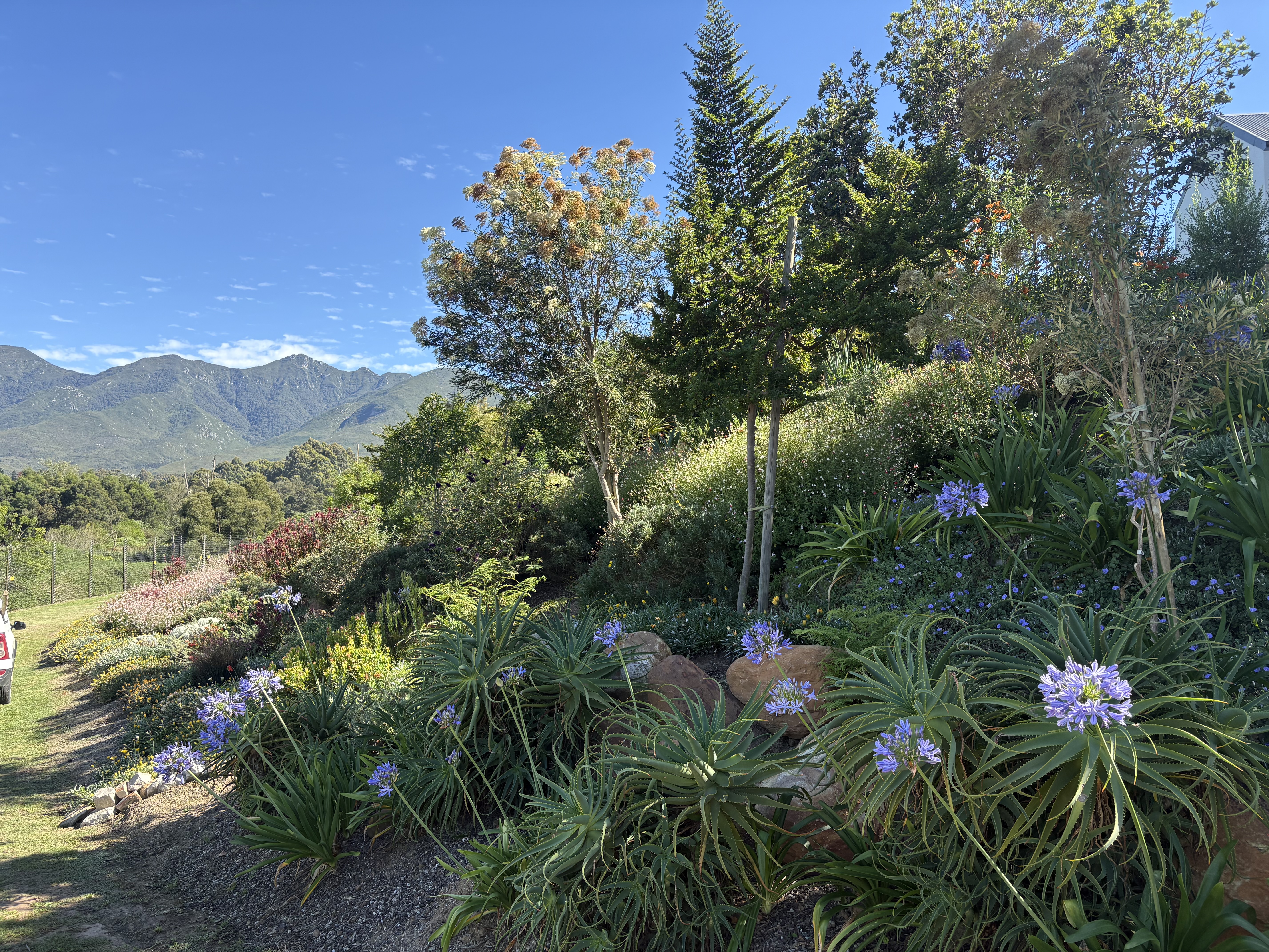 Creating a steep slope into a terraced garden