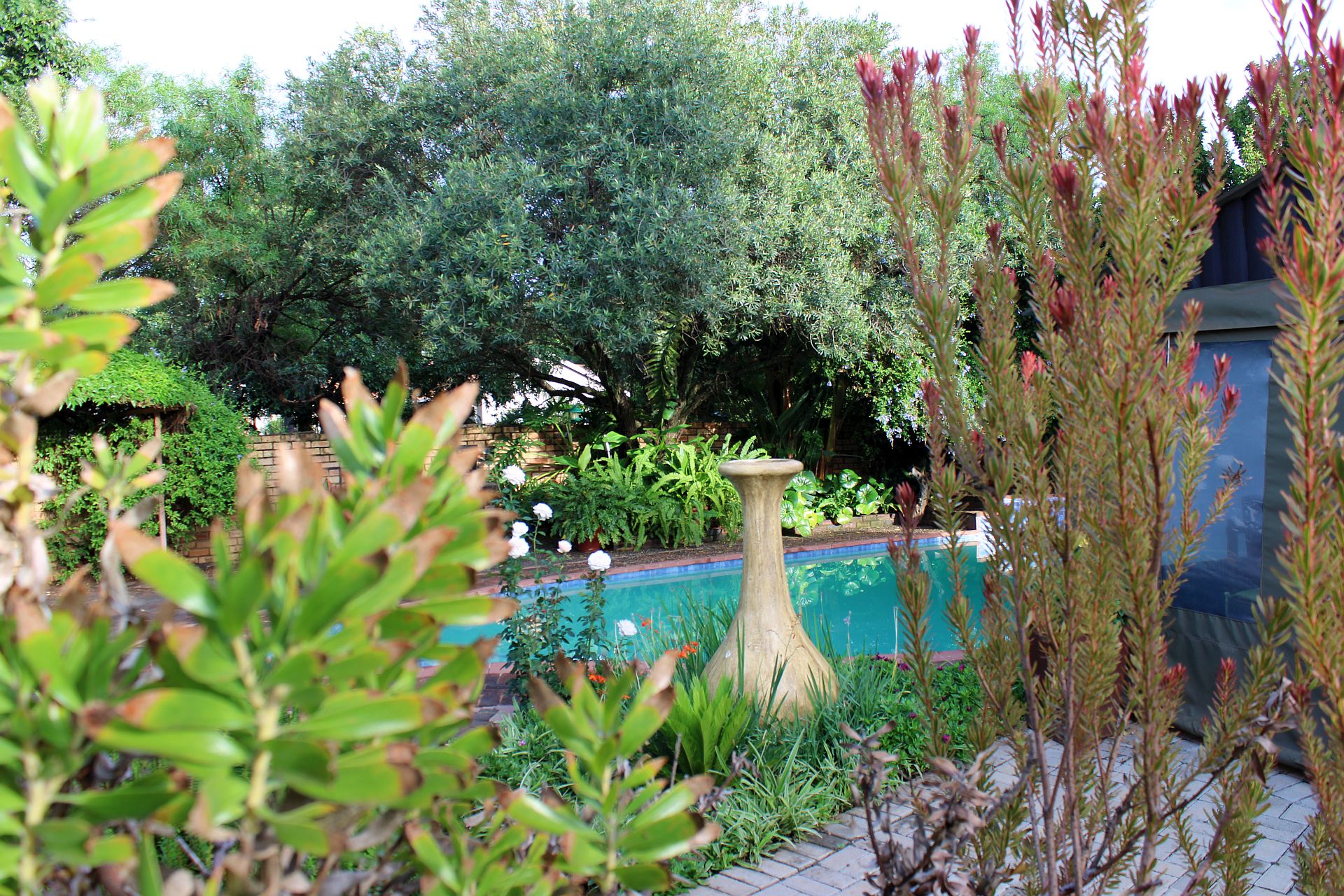 Pool view