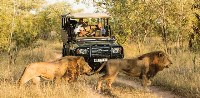 Private Safaris