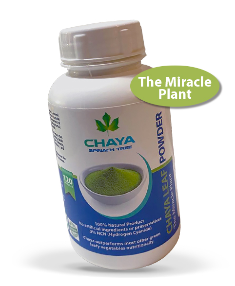Chaya Leaf Capsules - The Miracle Plant