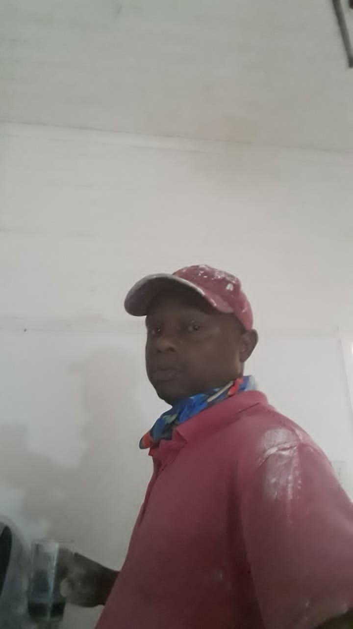 Painter in Bellville