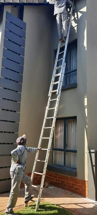 Painting services