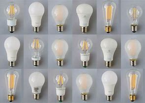 Bulbs