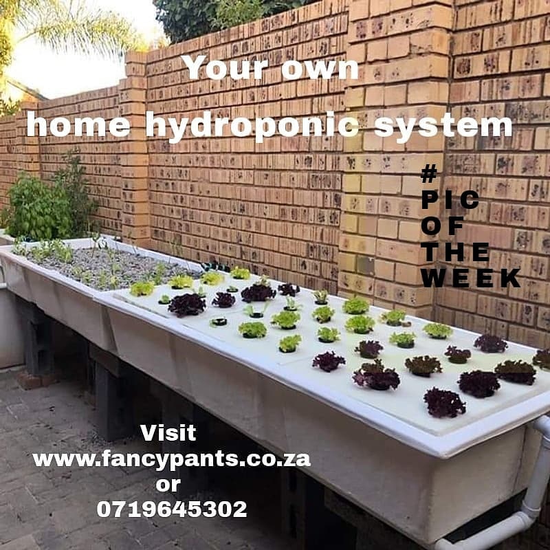 Home aquaponic systems, worm farms and fertilizers 