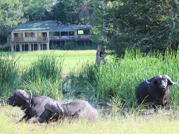 book game ranch accommodation 