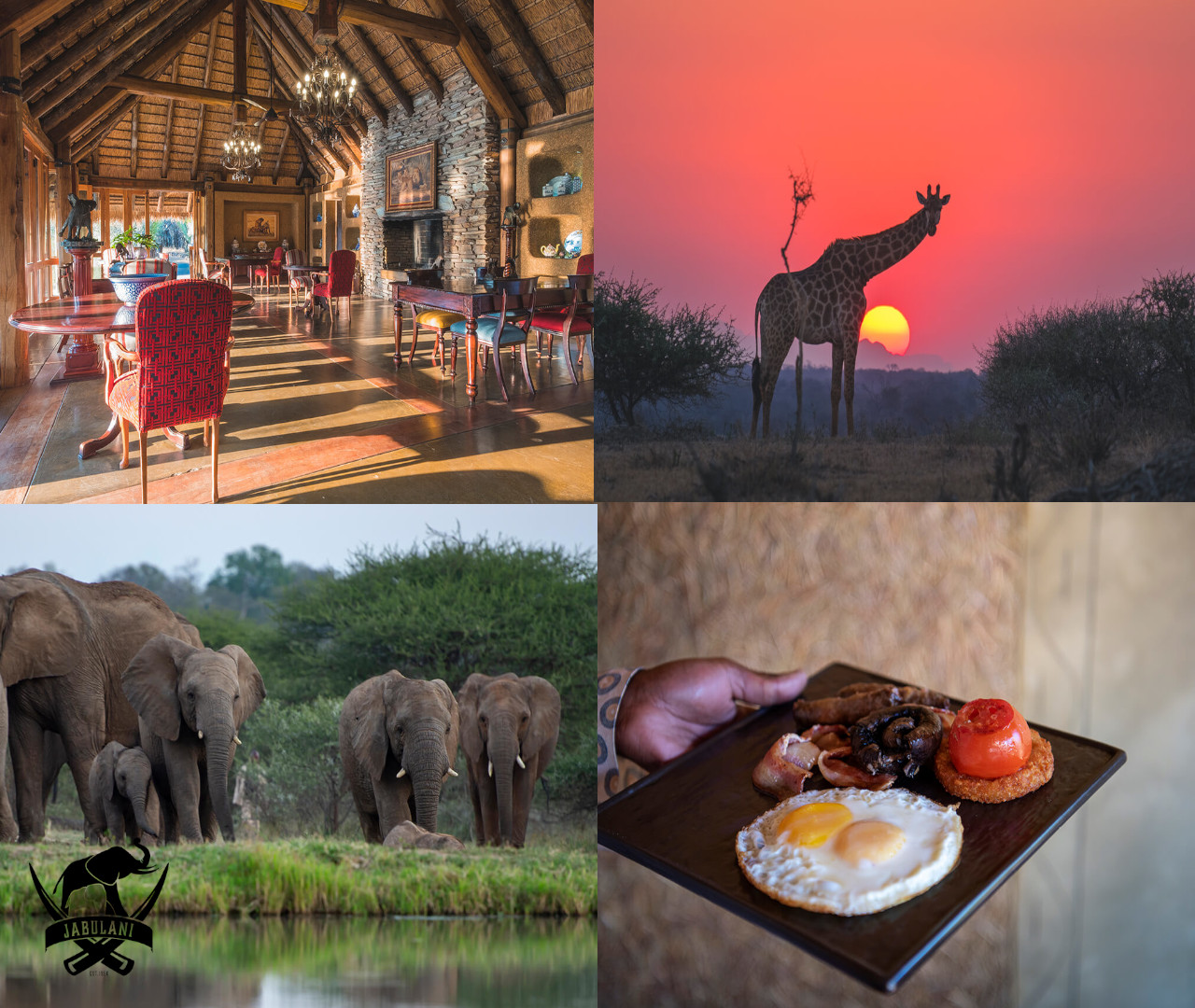 Our game reserve experience 