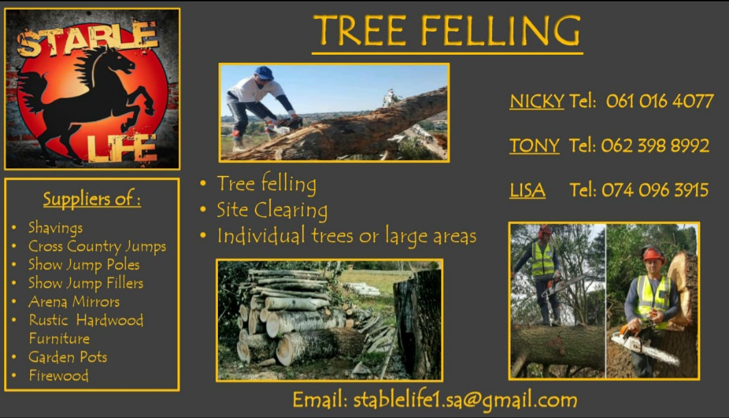 Tree felling, rustic wooden furniture, cross country jumps
