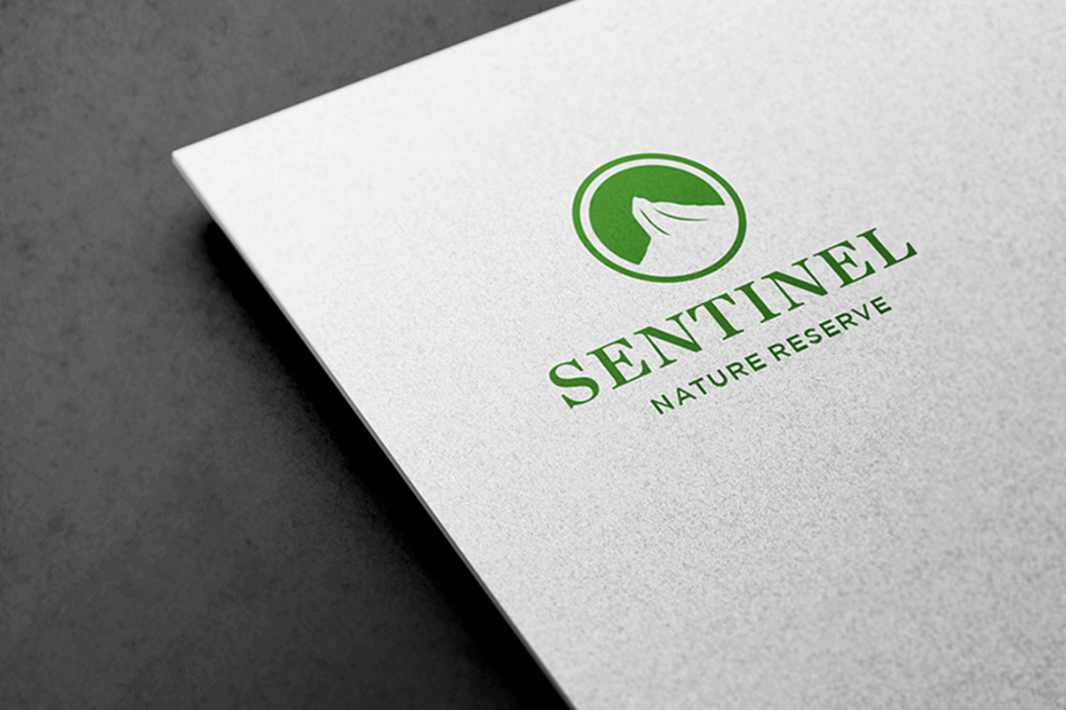 Logo Design