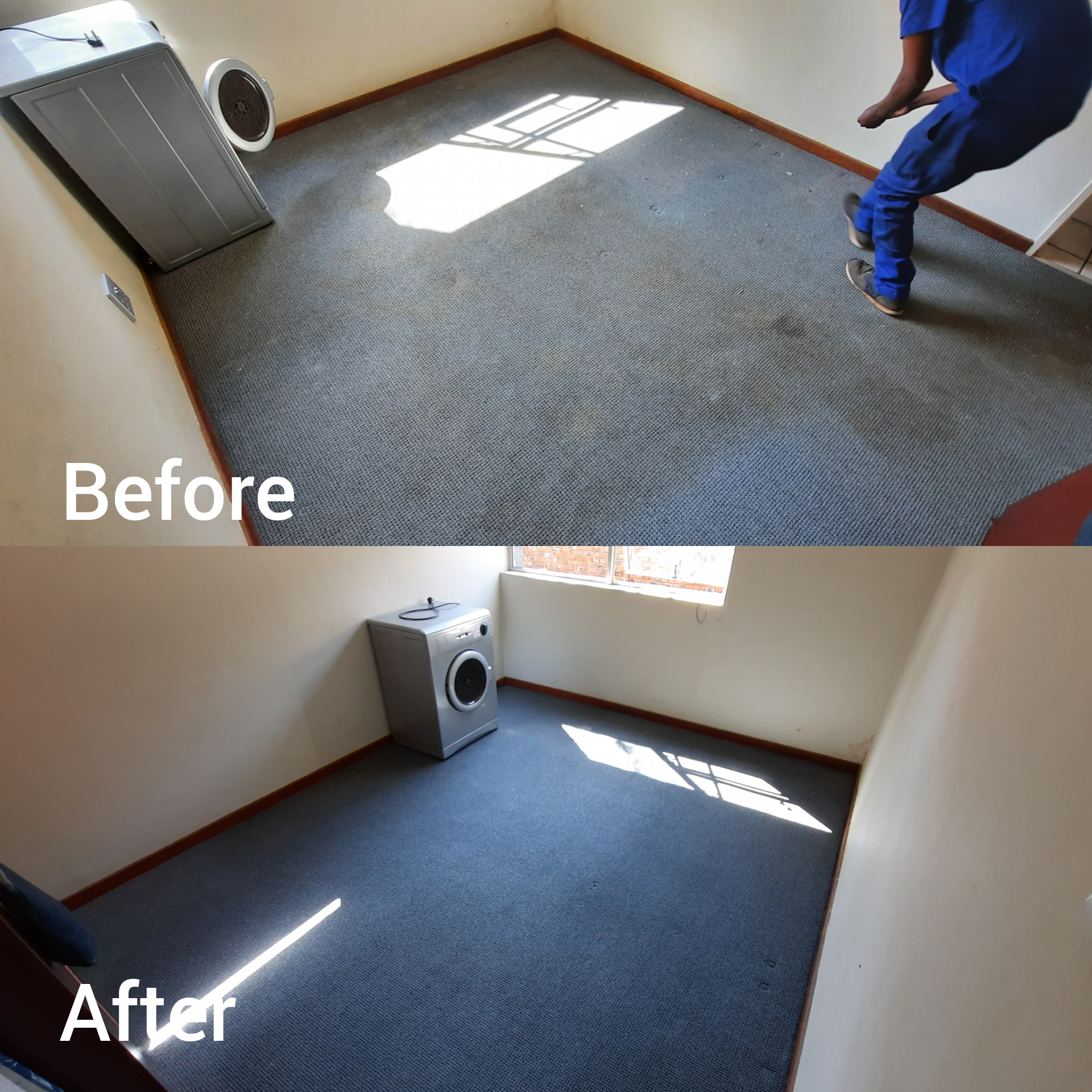 Professional carpet cleaning services Johannesburg