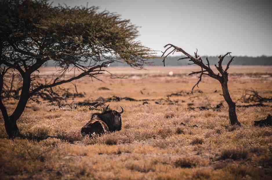 Namibia