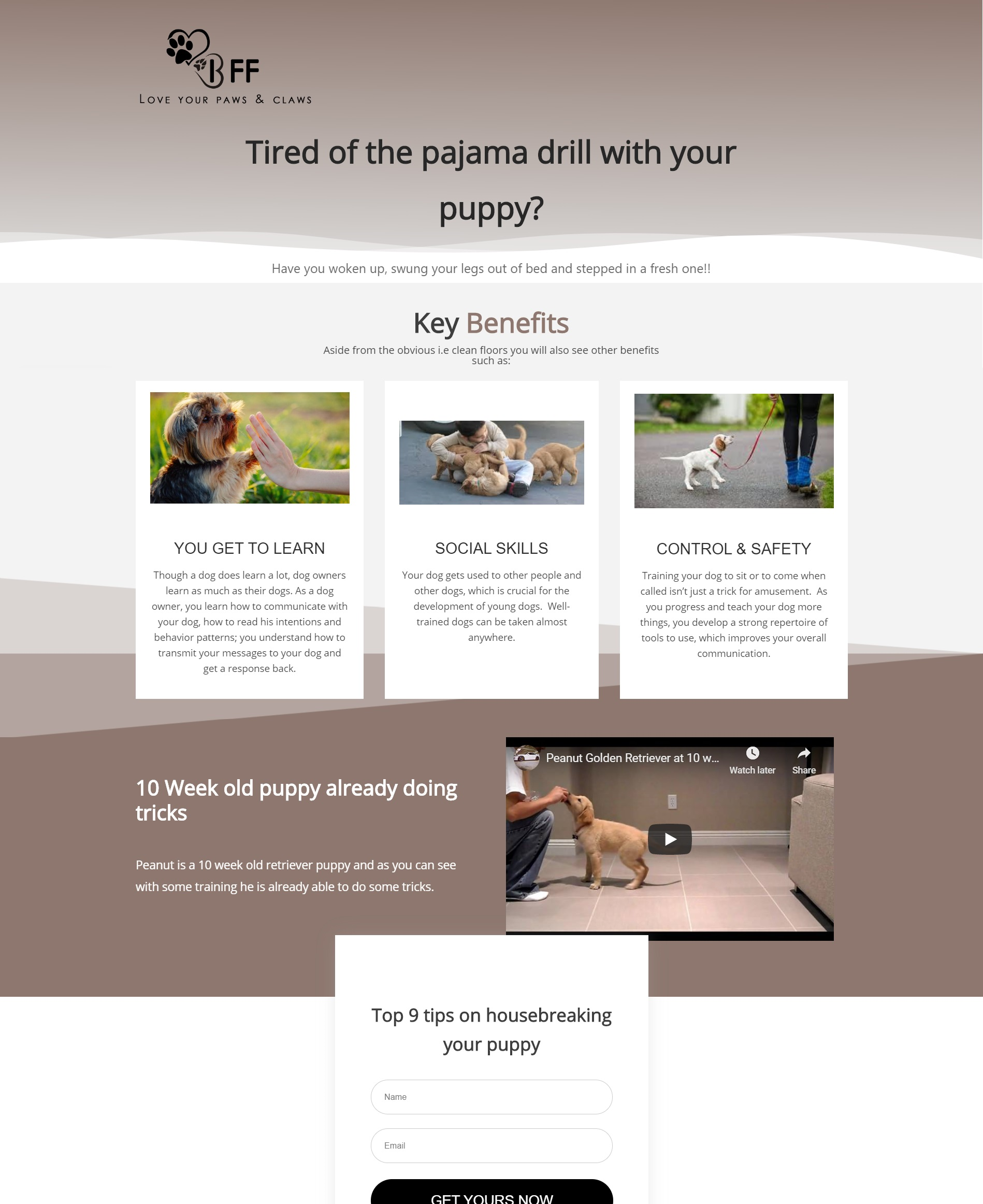 Dog Training funnel