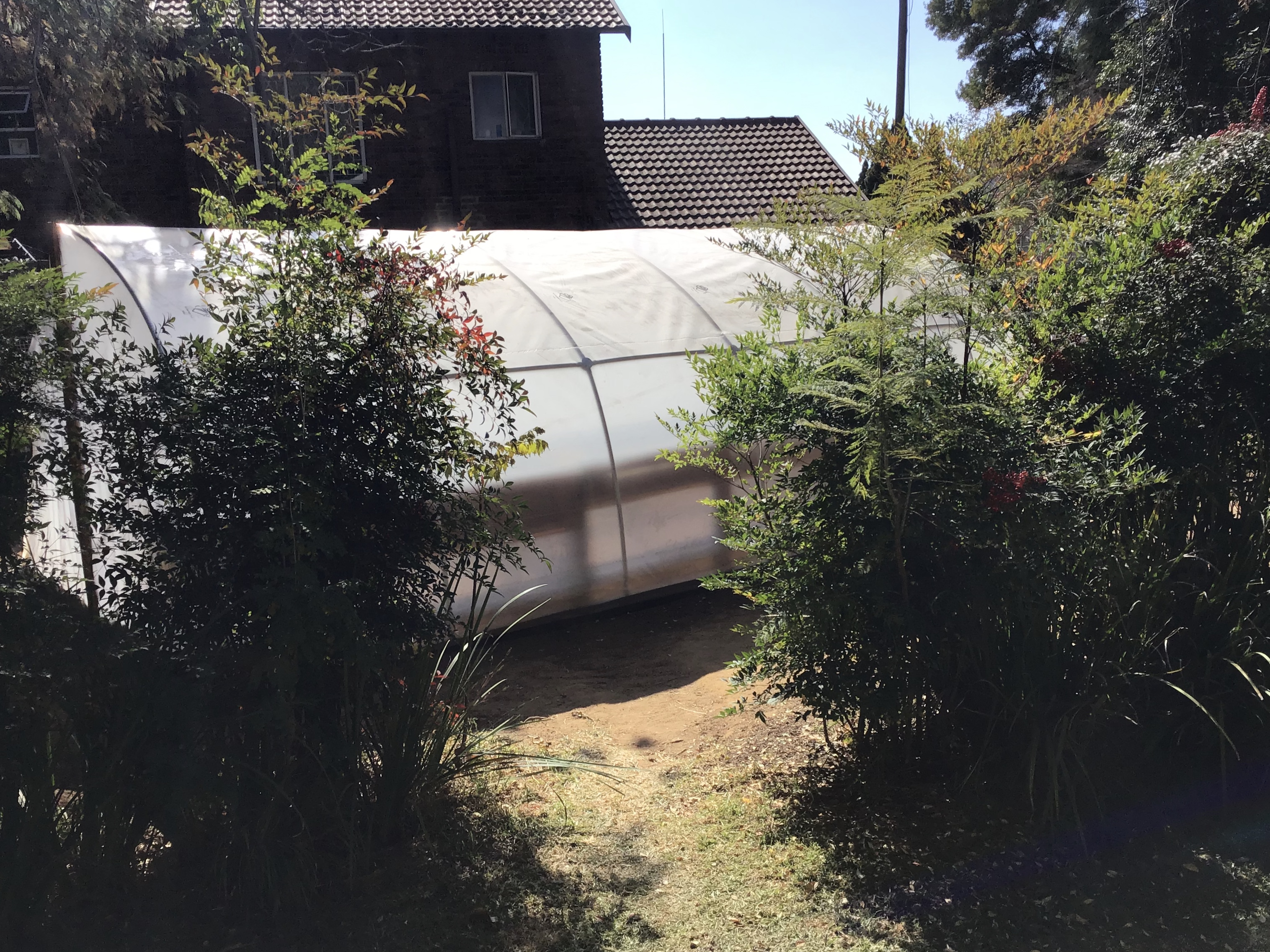 The outside of our tunnel greenhouse 