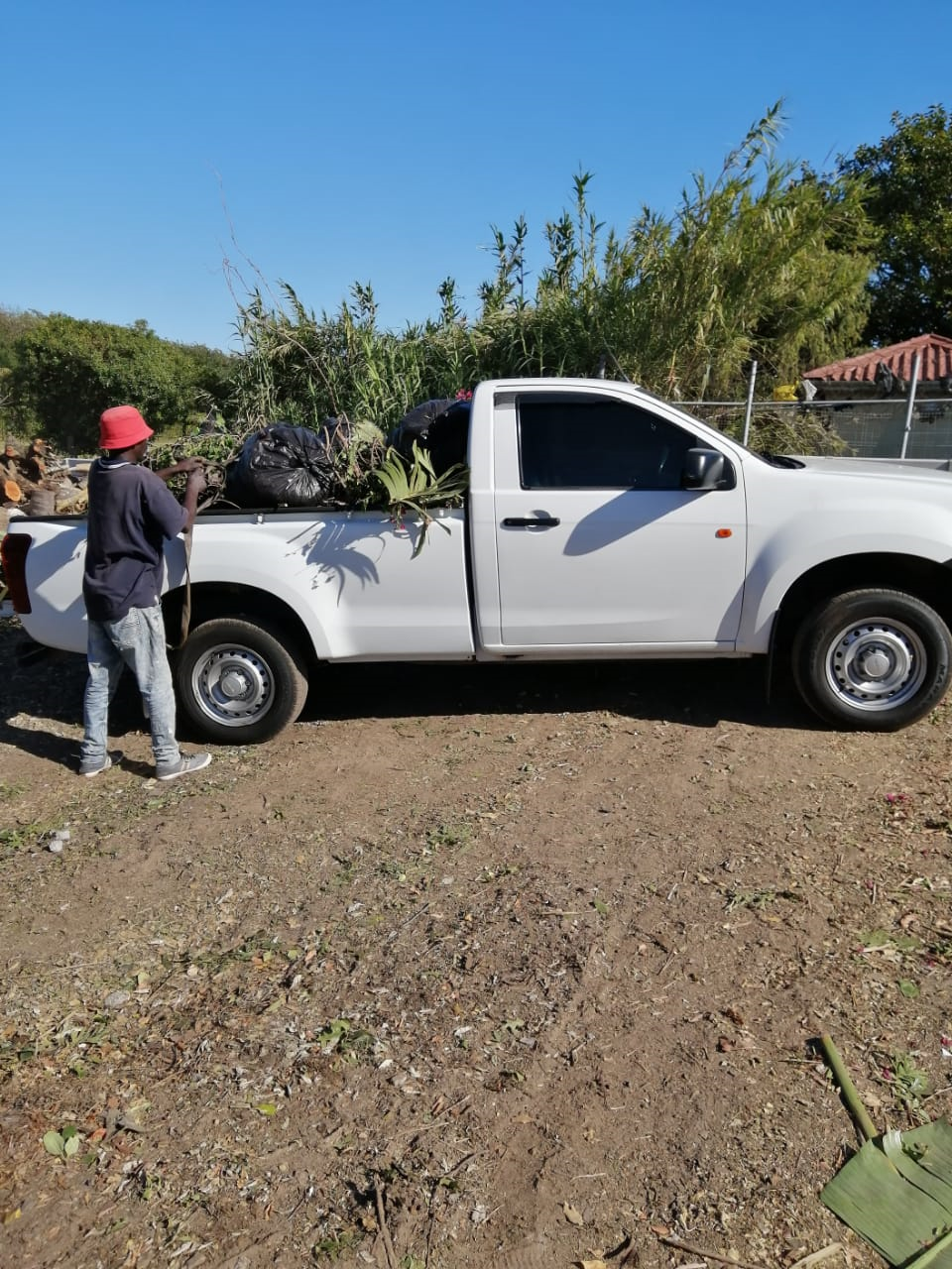 Our mobile tree felling