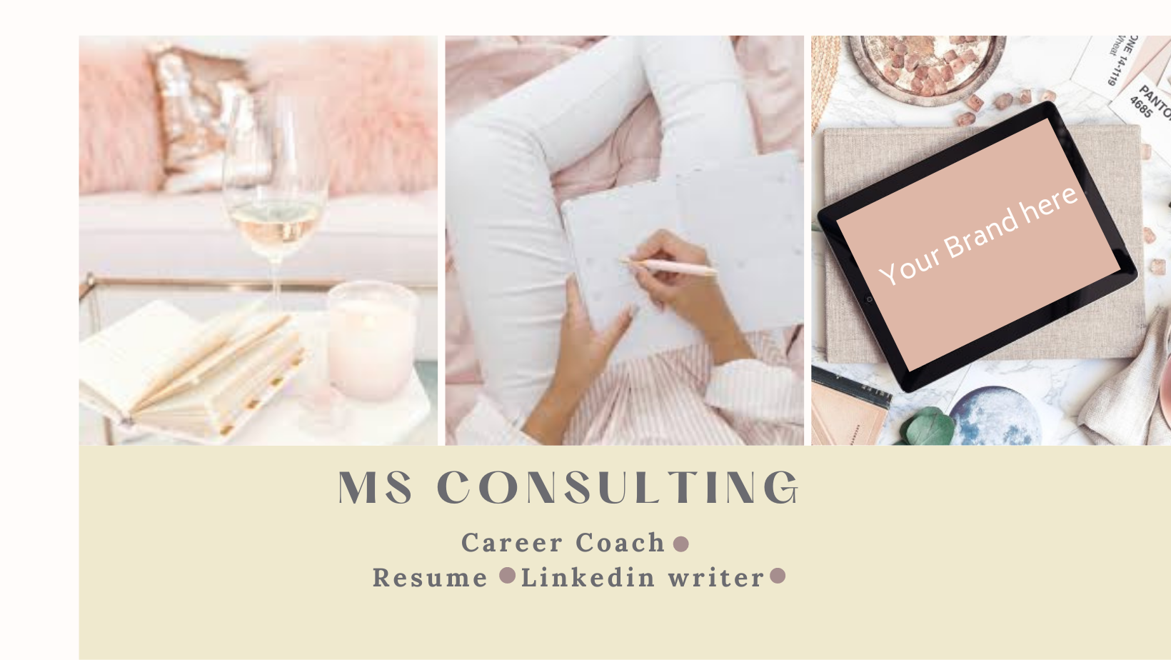 MS Consulting