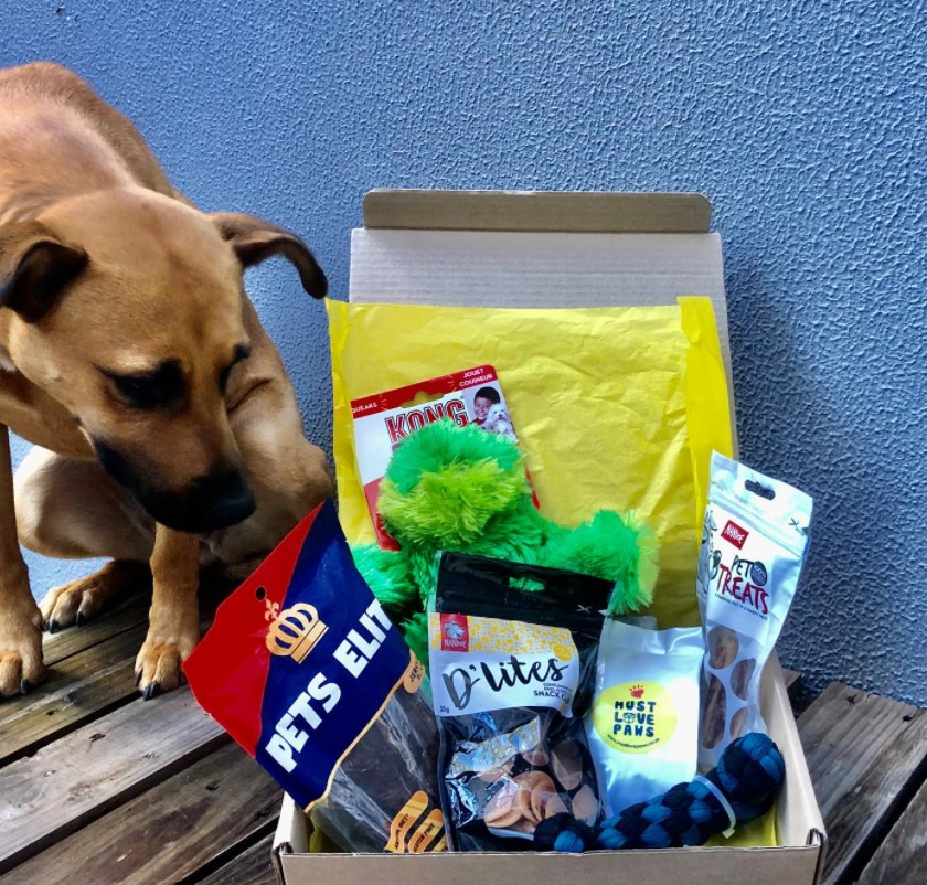 Dog Treat Box